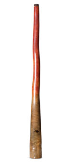 Tristan O'Meara Didgeridoo (TM410)